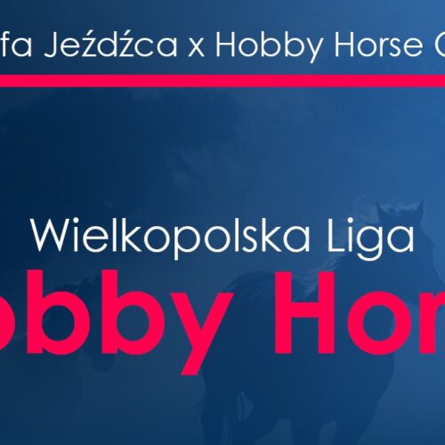 Strefa Jeźdźca x Wielkopolska Liga Hobby Horse