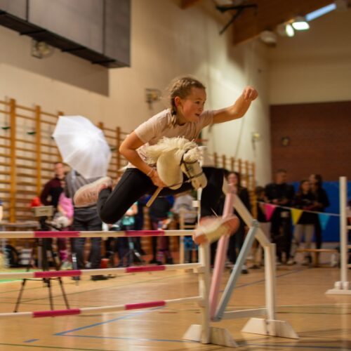 Hobby horse – fenomen koni na kijach