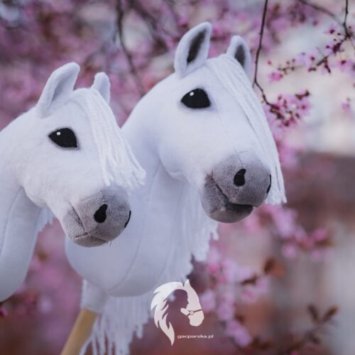 5 powodów, dla których warto rozpocząć treningi hobby horse