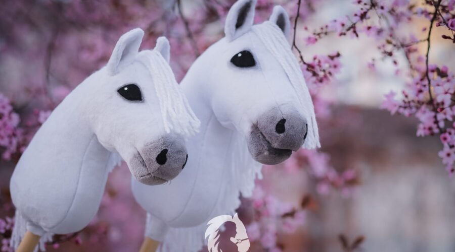 5 powodów, dla których warto rozpocząć treningi hobby horse